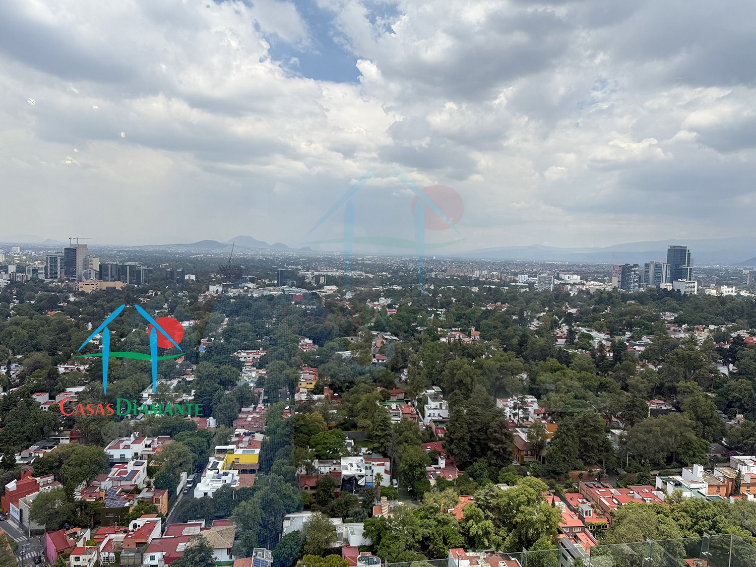 Atlamaya Julieta BFJH - Estancia 11